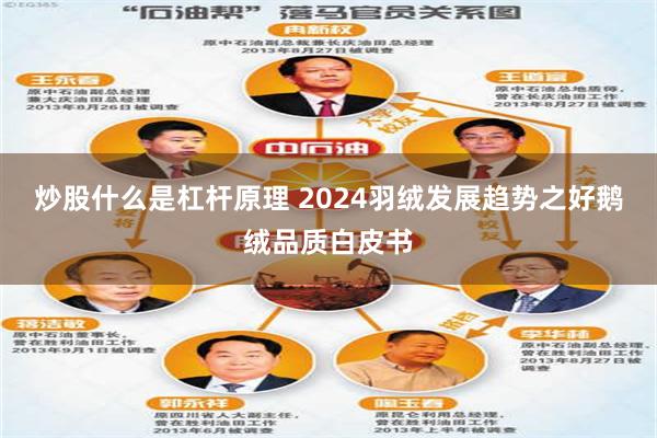 炒股什么是杠杆原理 2024羽绒发展趋势之好鹅绒品质白皮书