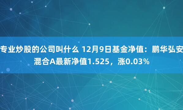 专业炒股的公司叫什么 12月9日基金净值：鹏华弘安混合A最新净值1.525，涨0.03%