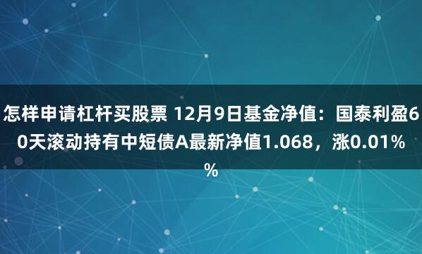 怎样申请杠杆买股票 12月9日基金净值：国泰利盈60天滚动持有中短债A最新净值1.068，涨0.01%