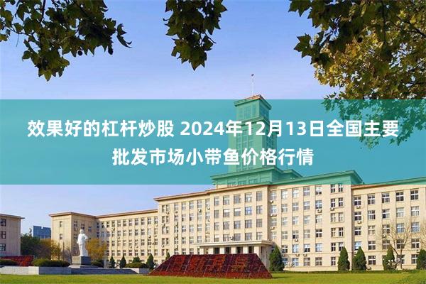 效果好的杠杆炒股 2024年12月13日全国主要批发市场小带鱼价格行情