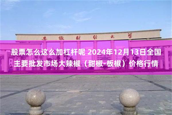 股票怎么这么加杠杆呢 2024年12月13日全国主要批发市场大辣椒（甜椒-板椒）价格行情