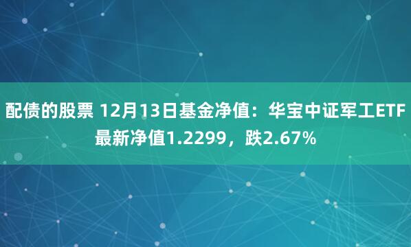 配债的股票 12月13日基金净值：华宝中证军工ETF最新净值1.2299，跌2.67%