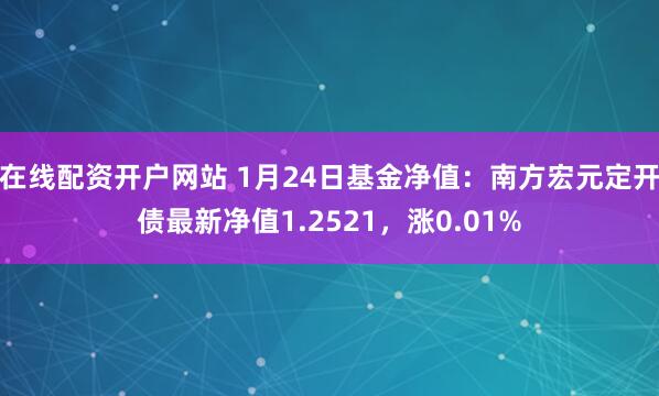 在线配资开户网站 1月24日基金净值：南方宏元定开债最新净值1.2521，涨0.01%