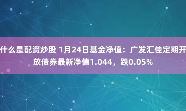 什么是配资炒股 1月24日基金净值：广发汇佳定期开放债券最新净值1.044，跌0.05%