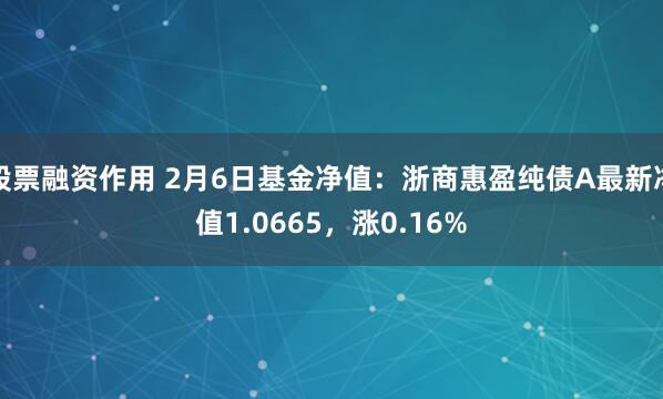 股票融资作用 2月6日基金净值：浙商惠盈纯债A最新净值1.0665，涨0.16%