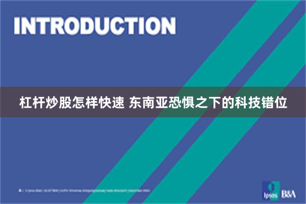 杠杆炒股怎样快速 东南亚恐惧之下的科技错位